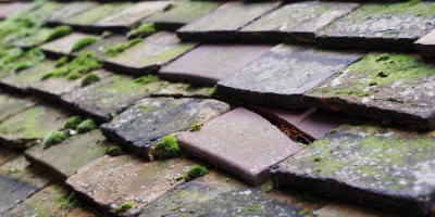 Woodseaves roof repair costs